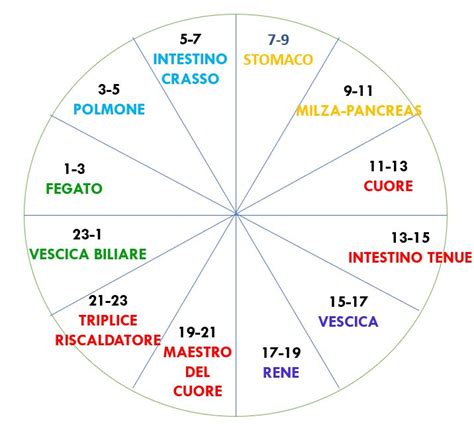 Orologio biologico e persona che dorme