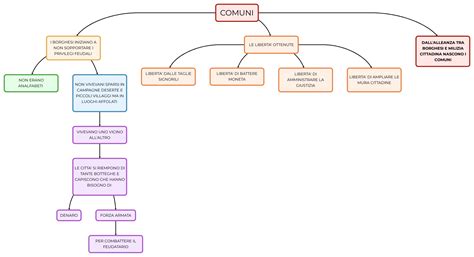 schema dei sintomi ovulatori comuni