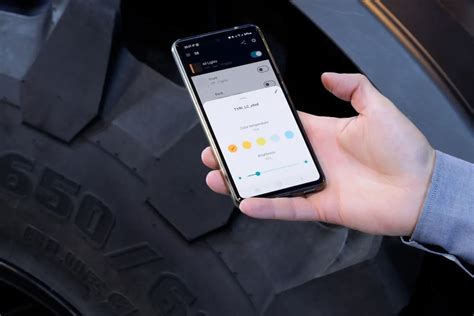Interfaccia dell'applicazione mobile per la culla smart