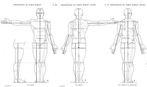 studio delle proporzioni del corpo umano nel disegno accademico