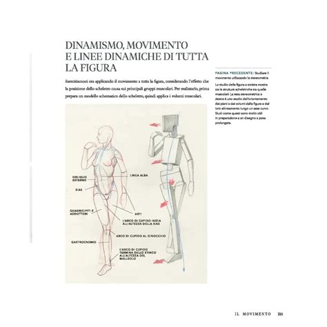 costruzione geometrica di una figura umana in movimento