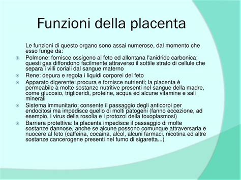 Funzioni della placenta