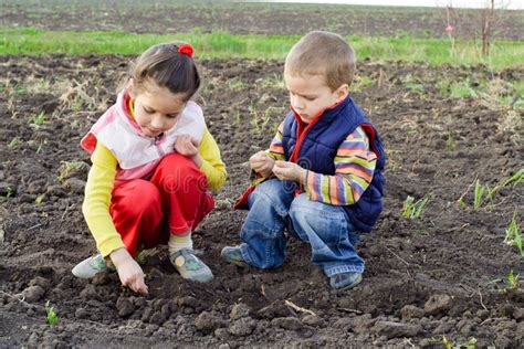 Bambini che piantano semi in un contesto comunitario