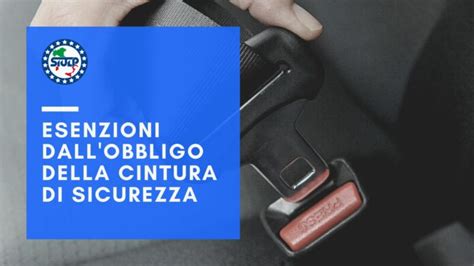 schema tecnico che illustra la cintura di sicurezza a 5 punti e gli indicatori di montaggio corretto del Newborn Set