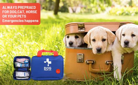 Kit di primo soccorso per animali domestici