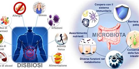Microbiota umano e sue interazioni