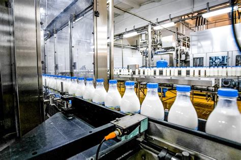 Produzione industriale di latte in polvere per uso zootecnico in uno stabilimento moderno