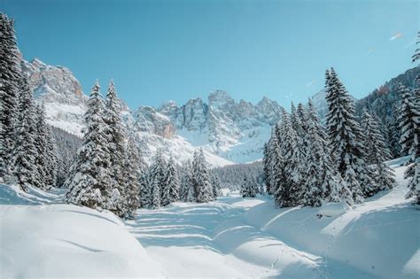 Veicolo militare sovietico in un paesaggio innevato