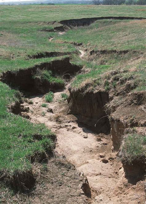 illustrazione di erosione idrica del suolo con solchi evidenti in un campo agricolo in pendenza