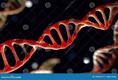 Immagine concettuale dell'imprinting genetico
