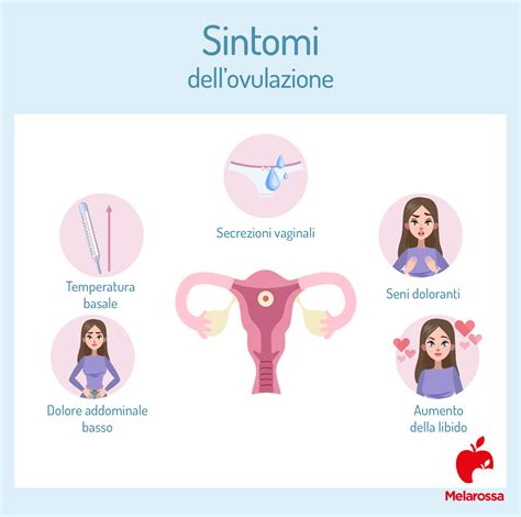 infografica sui segni fisici dell'ovulazione
