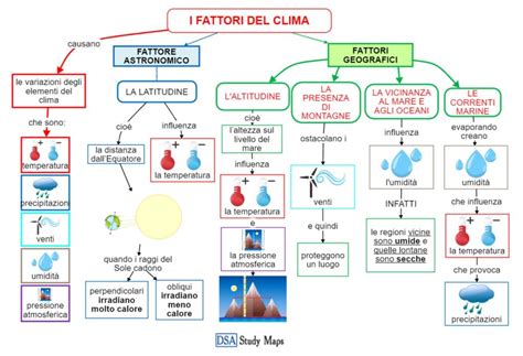 mappa concettuale dei fattori che influenzano la fertilità femminile
