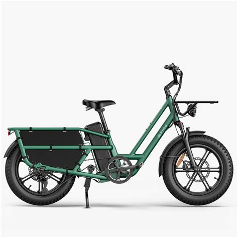 Fiido T2 e-bike cargo con due seggiolini installati