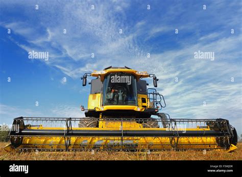 Mietitrebbia moderna in un campo di grano