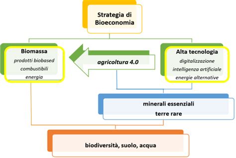 Rappresentazione schematica dei pilastri dell'agroforestazione