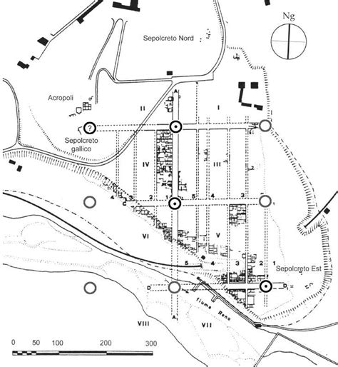 mappa che mostra la distribuzione ipotetica dei vari mustelidi sul territorio italiano