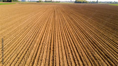 Campo arato all'alba