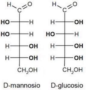 D-mannosio struttura chimica