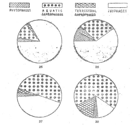 Confronto tra diverse tipologie di figure cicladiche