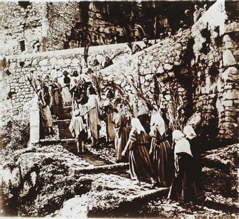 Ricostruzione storica di antichi ciucci
