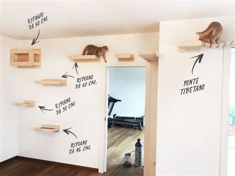 Muro con mensole e percorsi per gatti