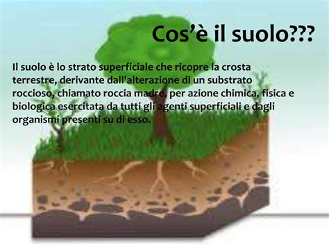 rappresentazione stilizzata dell'argilla e del fango fertile come base della vita