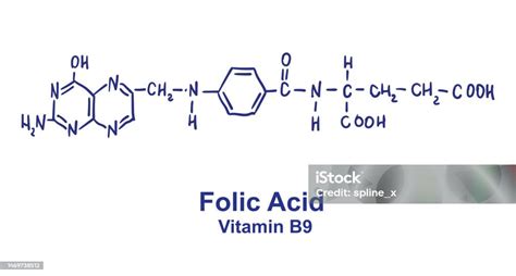 Struttura del DNA e acido folico