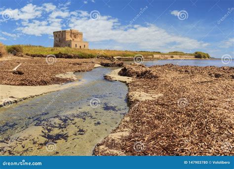 Paesaggio di Torre Guaceto con calette e torre