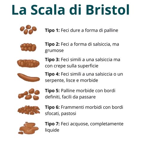 Tavola di Bristol per le feci