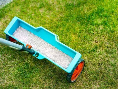 Diversi tipi di fertilizzanti: liquidi, granulari, a lento rilascio