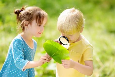 Bambini che esplorano la corteccia di un albero