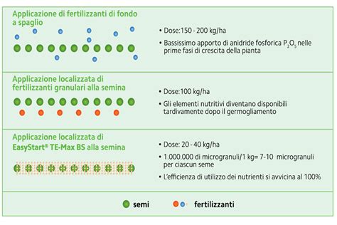 infografica fasi applicazione fertilizzanti fatti in casa