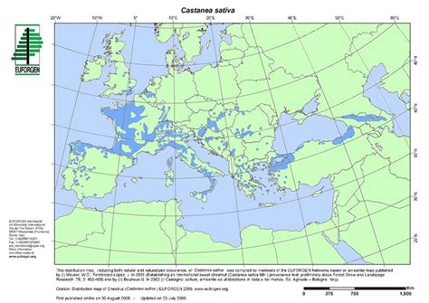 Mappa della distribuzione globale del castagno
