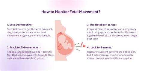 Screenshot of a fetal movement counter app interface
