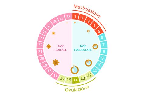 Ciclo Mestruale e Fertilità