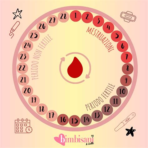 Calcolatore Ovulazione