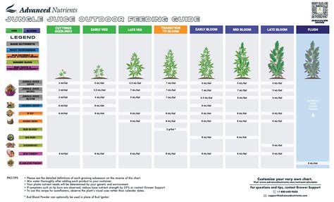 Diagram: A complete nutrient schedule (e.g., vegetative, transition, bloom, flush phases)