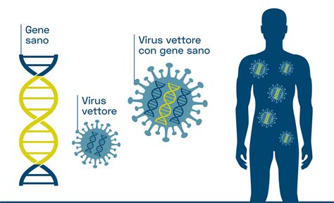 Meccanismo della terapia genica