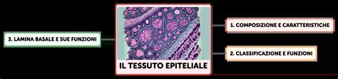 Composizione del tessuto
