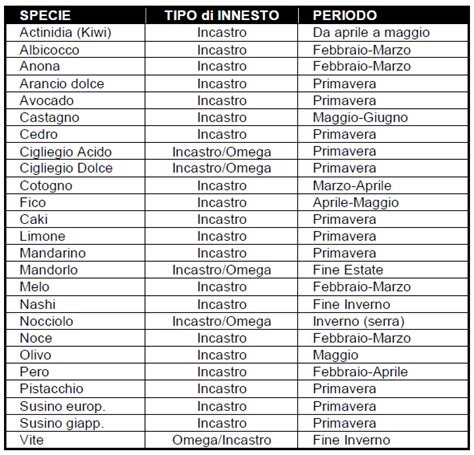 Confronto tra le applicazioni cliniche di diverse tipologie di innesti