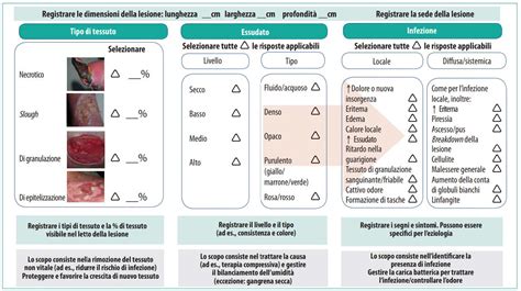 Illustrazione di vari sostituti cutanei e medicazioni avanzate