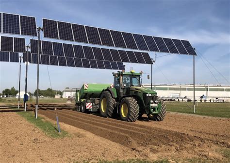 Campo agricolo su terreno vulcanico