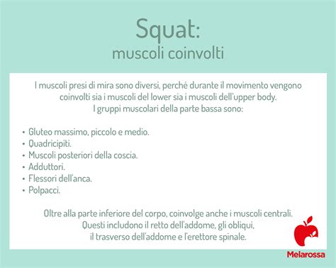 Muscoli coinvolti nella produzione del linguaggio
