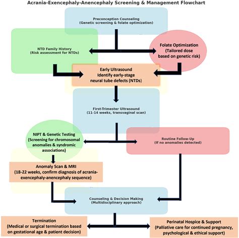 Flowchart of a multidisciplinary care pathway for high-risk pregnancies