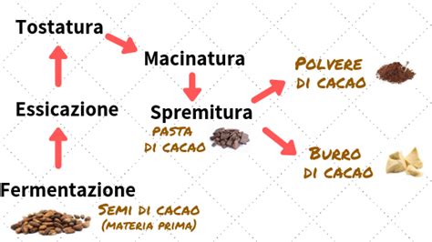 fave di cacao e lavorazione del burro di cacao