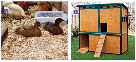 Ricovero per galline e anatre