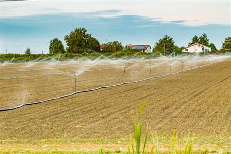 Campo agricolo con irrigazione moderna e piante rigogliose