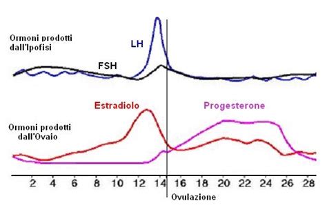 grafico che mostra la variazione dei livelli di LH ed estradiolo durante il ciclo