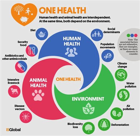 Grafico che illustra l'approccio One Health