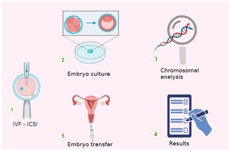 Diagram of genetic testing in IVF